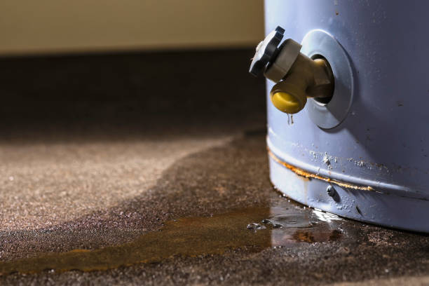 Best Water damage restoration near me  in Castle Rock, WA