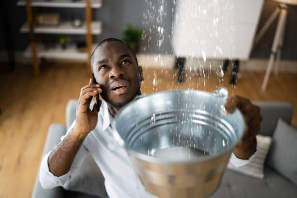 Best Residential water damage restoration  in Castle Rock, WA