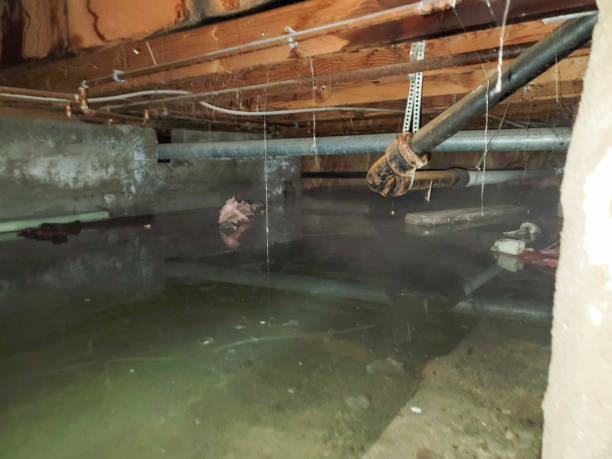 Best Emergency water damage restoration  in Castle Rock, WA