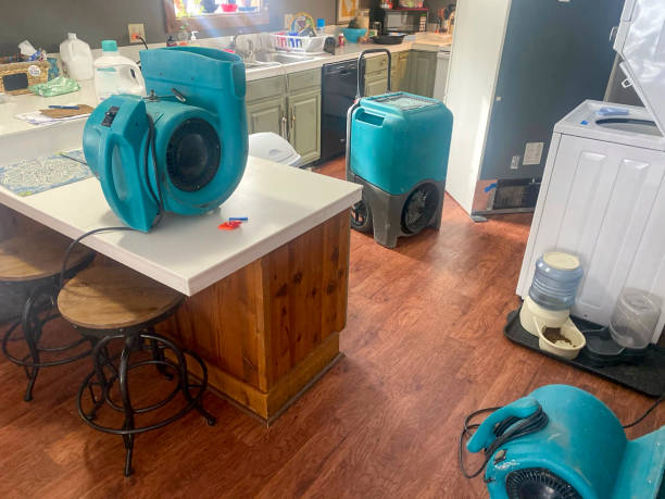 Best Mold removal after water damage  in Castle Rock, WA