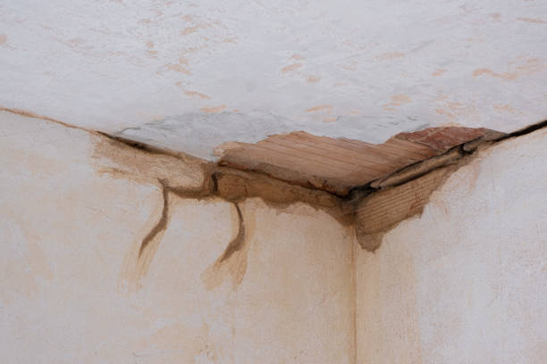 Best Basement water damage restoration  in Castle Rock, WA