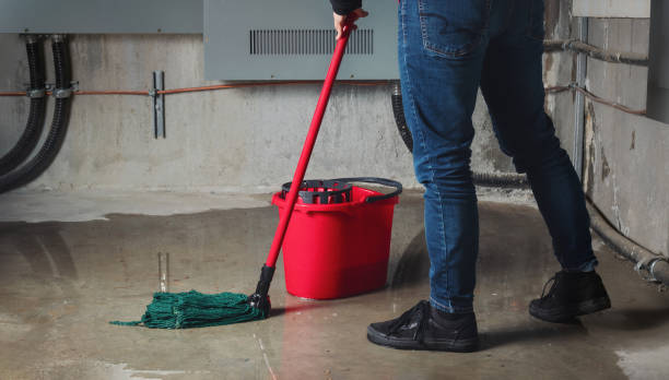 Best Water damage restoration company  in Castle Rock, WA