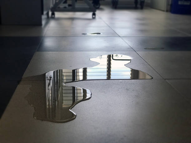 Best Professional water damage repair  in Castle Rock, WA