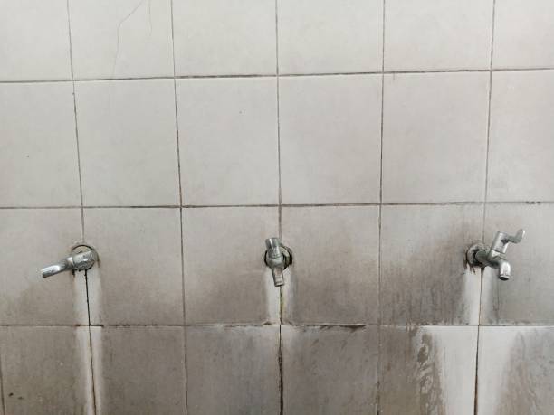 Best Water damage cleanup near me  in Castle Rock, WA