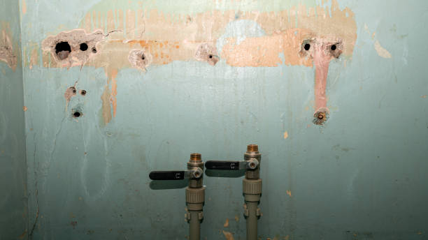 Best Water damage restoration near me  in Castle Rock, WA