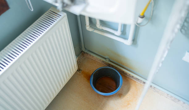 Best Fire Damage Restoration  in Castle Rock, WA