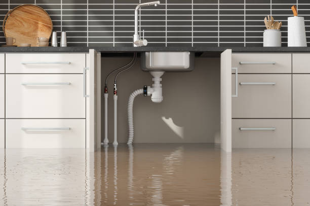 Best 24-hour water damage restoration  in Castle Rock, WA