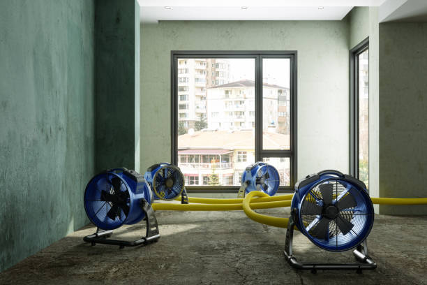 Best Water damage restoration services  in Castle Rock, WA